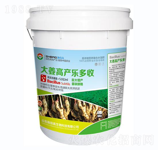 �󽪸߮a(ch��n)������-ʩ�۸�