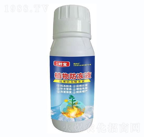 植物防凍液-寶葉植物
