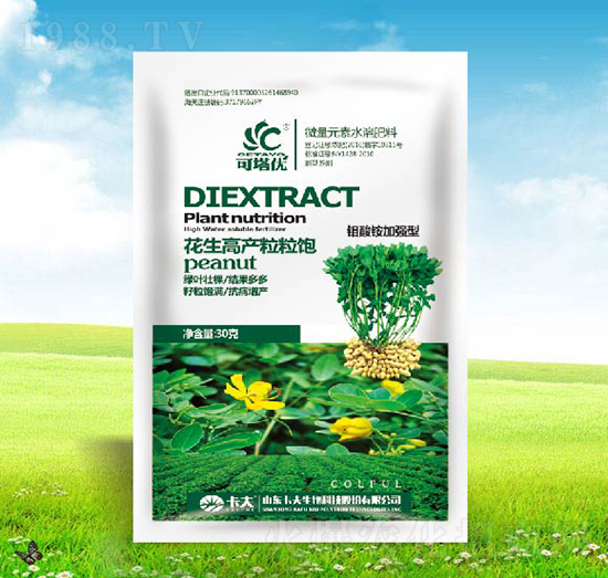 花生高產粒粒飽-可塔優(yōu)-卡夫生