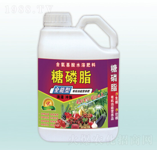 ����֬-�������