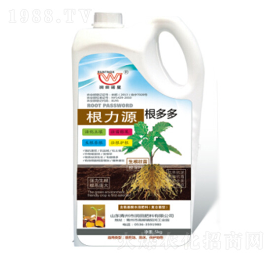 ����Դ-�����-�������