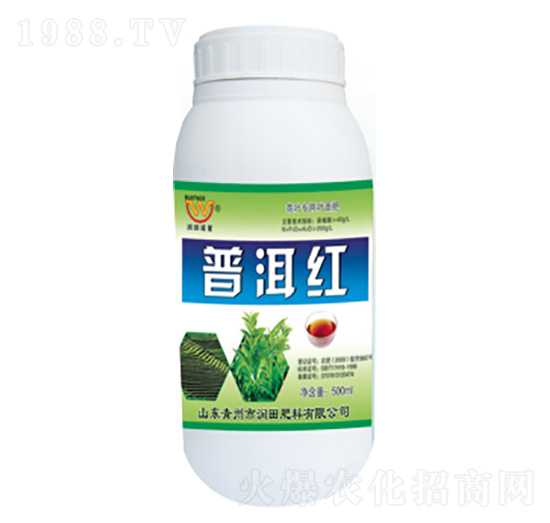 �ն��t-�������