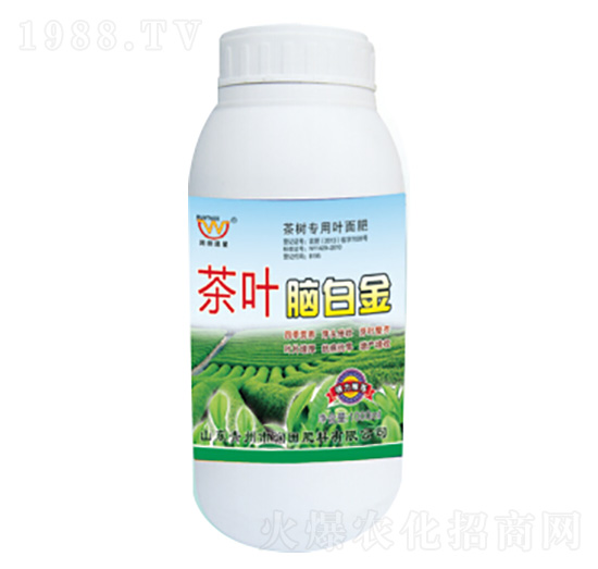 ƿ�b���~�X�׽�-��(r��n)�����