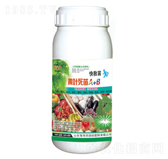 �S�~����A+B-��(r��n)�����