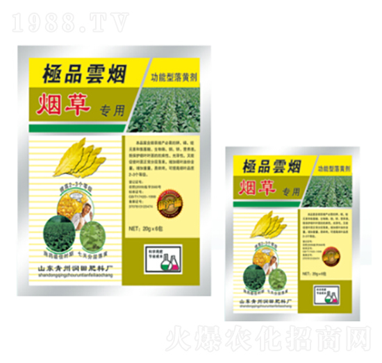 ���݌����~���-�Ɵ�-�������