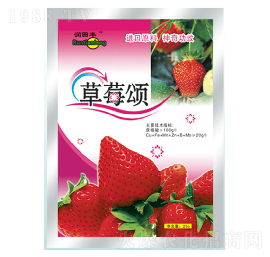 草莓頌-潤田肥料