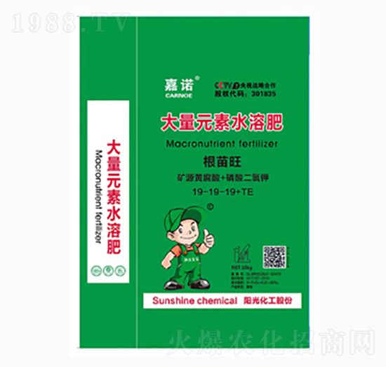 大量元素水溶肥19-19-19+TE-嘉諾-陽(yáng)光化工