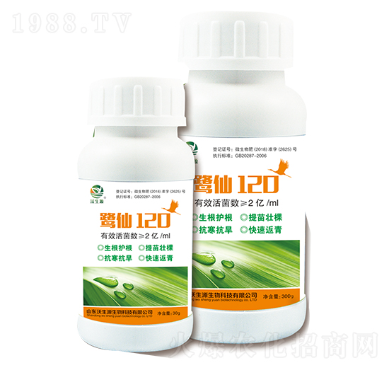 鷺仙120-沃生源生物