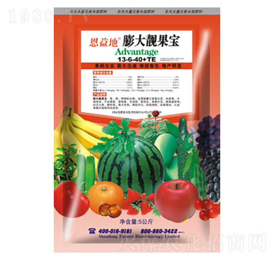 ����n����13-8-40+TE-�r(n��ng)��