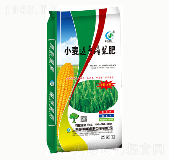 小麥返青灌漿肥-嘉科