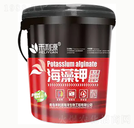 �����-��혻���