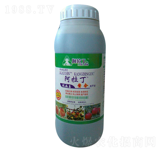 ���Ͼ��A��-������