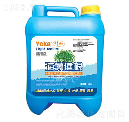 ���彡�����{(l��n)Ͱ��-���ŷʘI(y��)