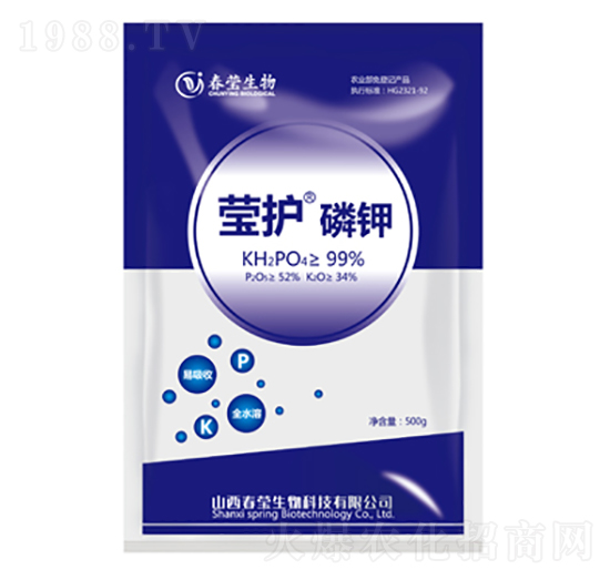 ���o���-��������