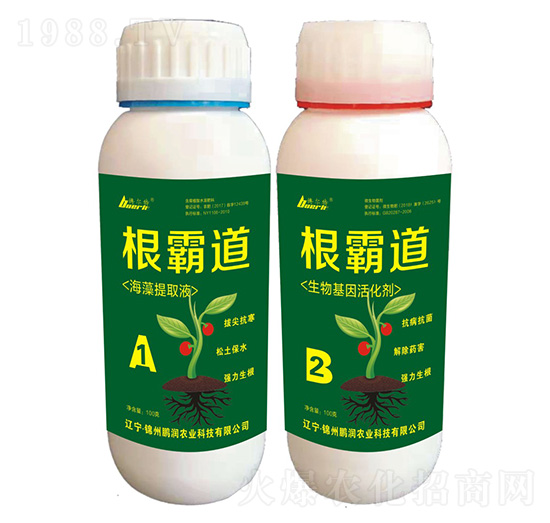 根霸道-鵬潤農(nóng)業(yè)