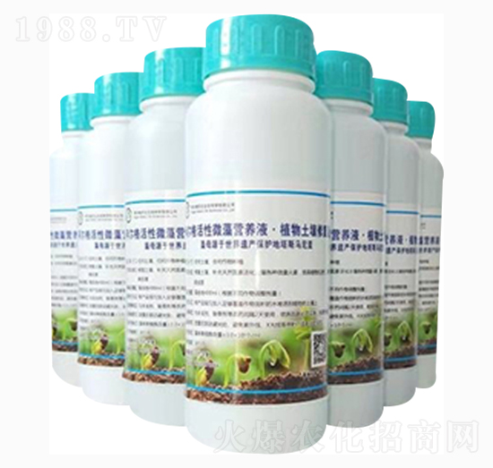 蔬菜、大棚微藻營(yíng)養(yǎng)液·土壤改良液-阿爾格