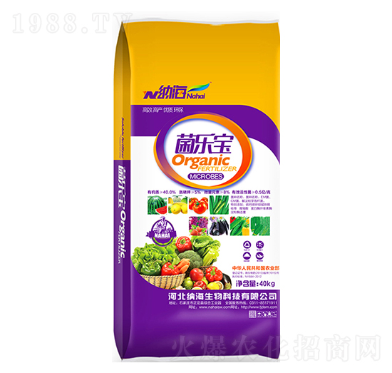 ������-�{������