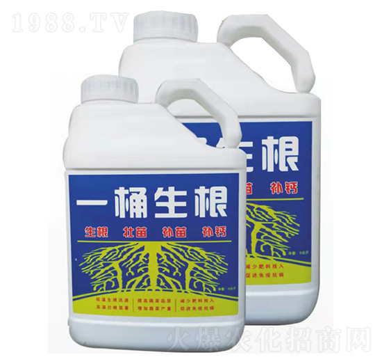 一桶生根-春露農(nóng)業(yè)