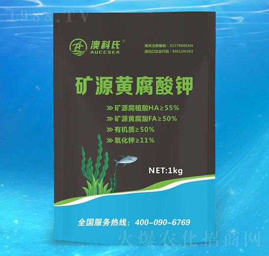 �VԴ�S�����-�Ŀ��Ϻ����