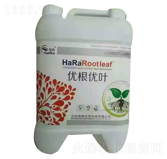 優(yōu)根優(yōu)葉-海苒