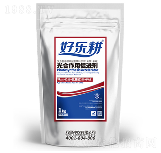 ������ô��M�����~��ʣ�-�Ø���-�f�����r