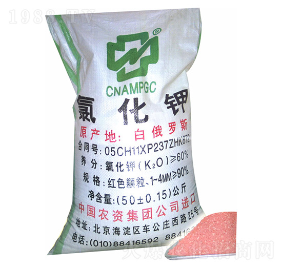 �Ȼ��-���r�r�Y