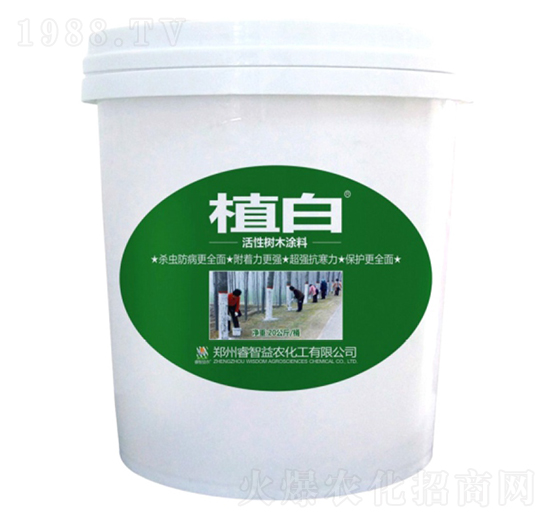 20公斤植白活性樹(shù)木涂料-睿智益農(nóng)