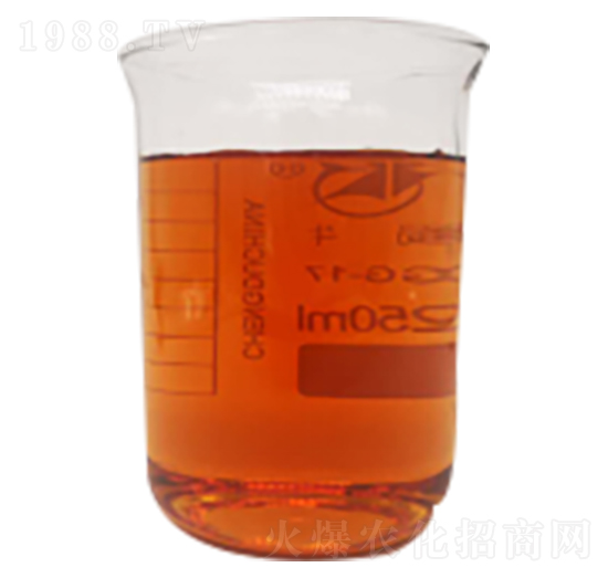 酶解氨基酸-博潤(rùn)科技