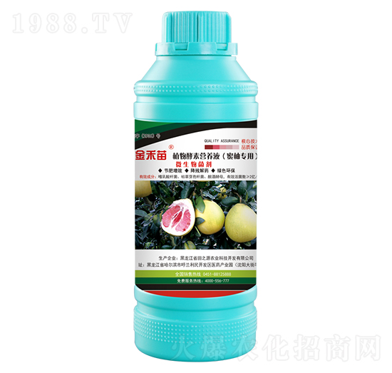 蜜柚專用植物酵素營養(yǎng)液-金禾苗-田之源