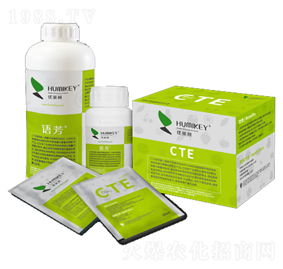 �Z(y��)��CTE-��(y��u)����