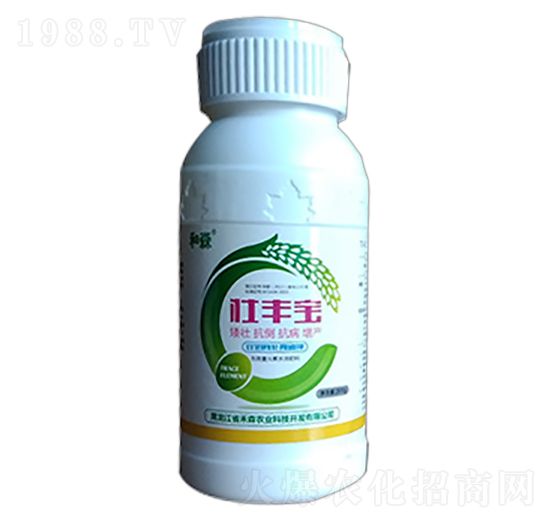 ���S��-��ɭ�r�I(y��)