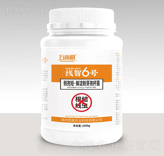 根結(jié)線蟲(chóng)克星-線智6號(hào)-湯姆生生物