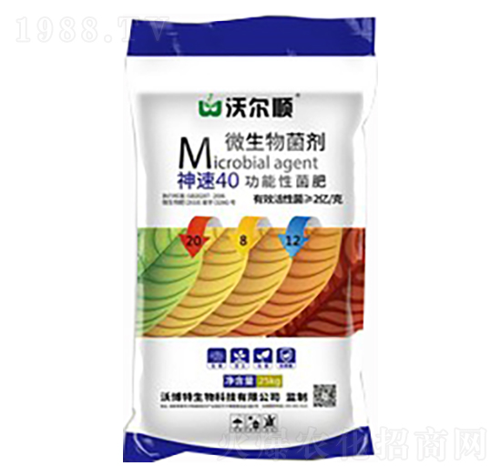 ����40�����Ծ���20-8-12-�֠��-�ֲ���