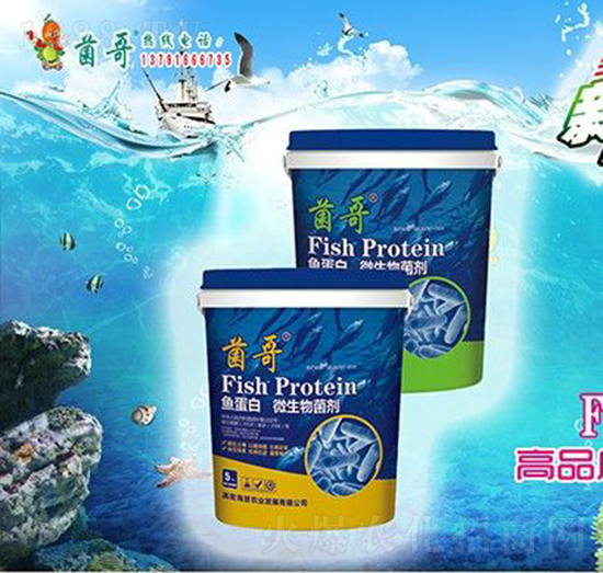 魚蛋白微生物菌劑-?；? style=