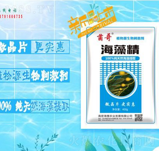 海藻精-?；? style=