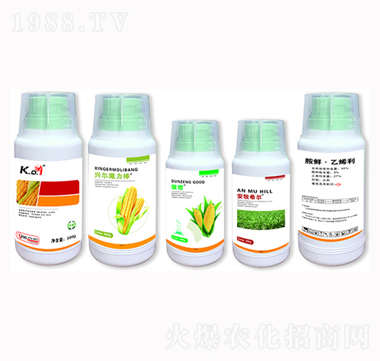 30%���r����ϩ��-����ϣ��-�d���r�I(y��)