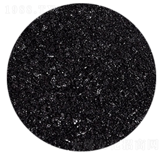 ��ֲ���-�𺣵|