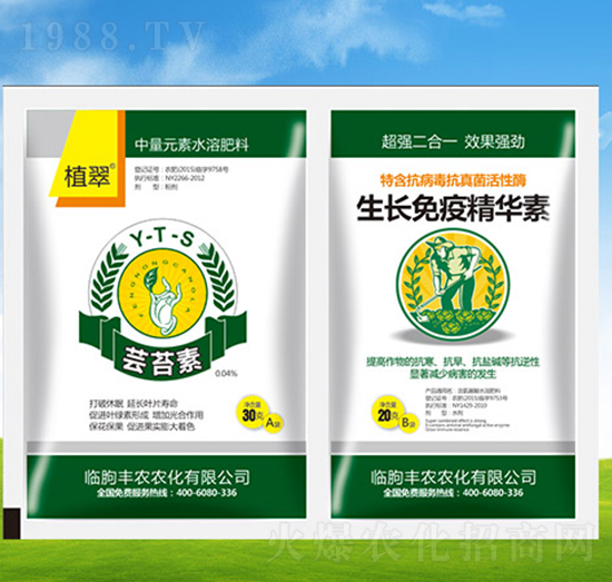 蕓苔素+生長免疫精華素-豐農(nóng)農(nóng)化