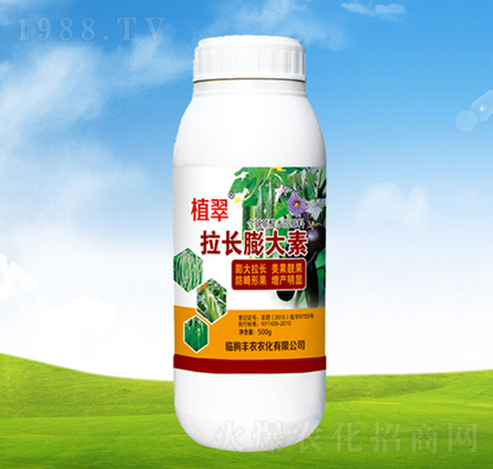 拉長(zhǎng)膨大素-植翠-豐農(nóng)農(nóng)化