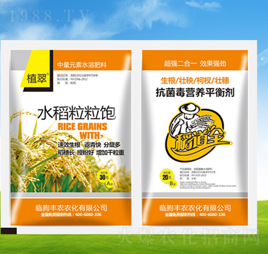 水稻粒粒飽+抗菌毒營養(yǎng)平衡劑-植翠-豐農(nóng)農(nóng)化
