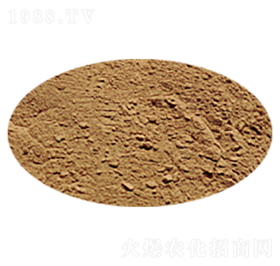 ����ѿ�ߗU��-��ɏ���