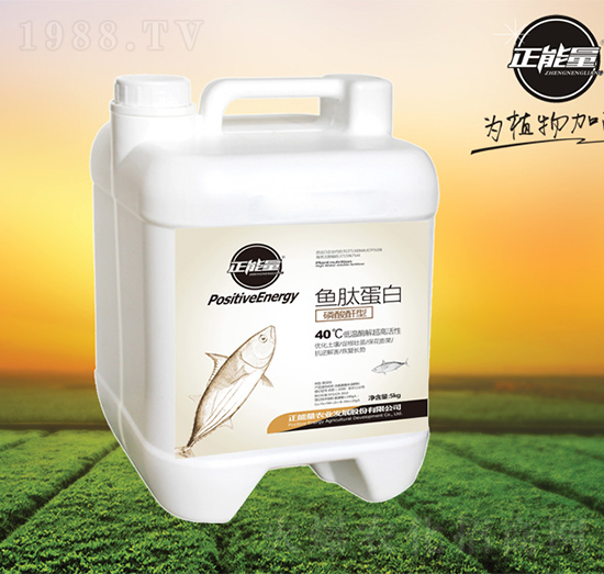 魚肽蛋白-正能量-正能量