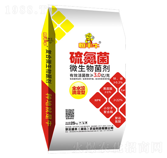 �򵪾�΢�������-����ʢ�S