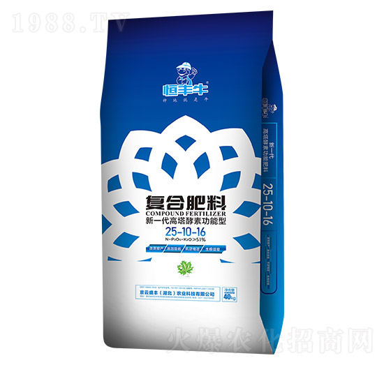 ��һ���������ع����͏ͺϷ���25-10-16-����ʢ�S