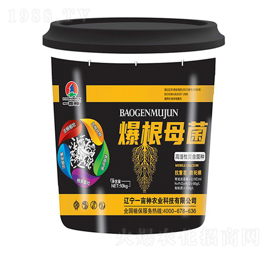 高活性復(fù)合菌種-爆根母菌-一畝神