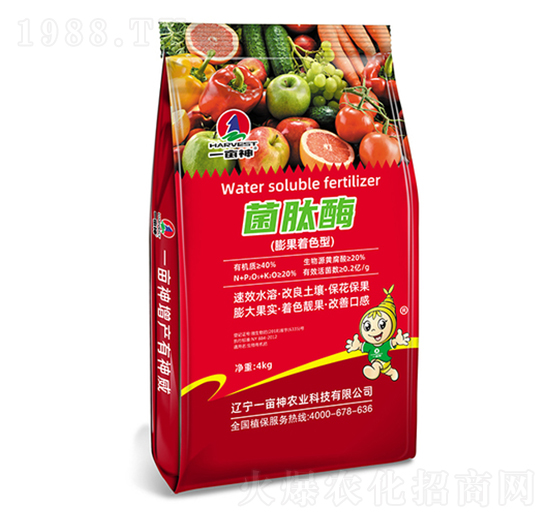 膨果著色型-菌肽酶膨果-一畝神