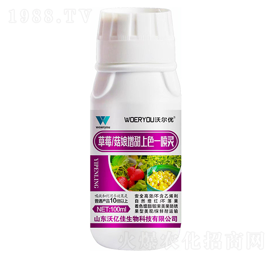 草莓、菇娘增甜上色一噴靈-沃爾優(yōu)