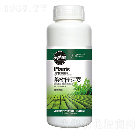 茶樹催芽素-正能量