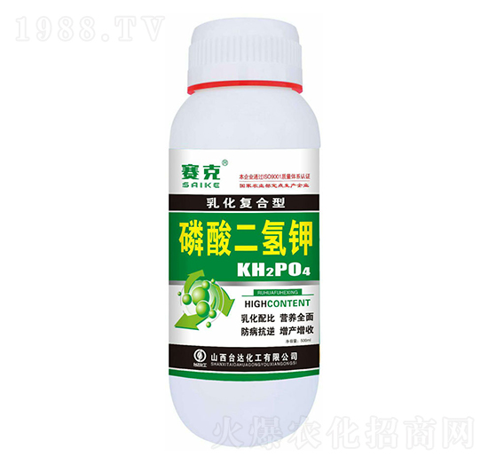 �黯��(f��)������������-ِ��-�_(t��i)�_(d��)�ʘI(y��)