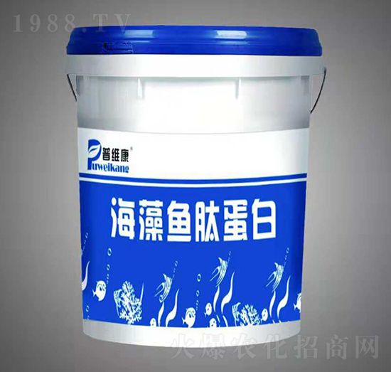 �����~�ĵ���-�վS��-�_�_(d��)�ʘI(y��)